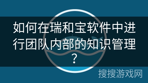 如何在瑞和宝软件中进行团队内部的知识管理？