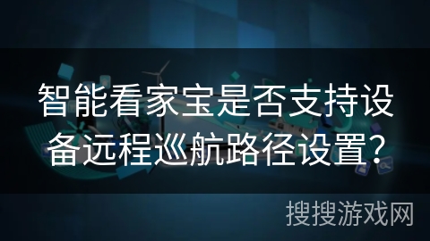 智能看家宝是否支持设备远程巡航路径设置？