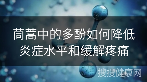 茼蒿中的多酚如何降低炎症水平和缓解疼痛