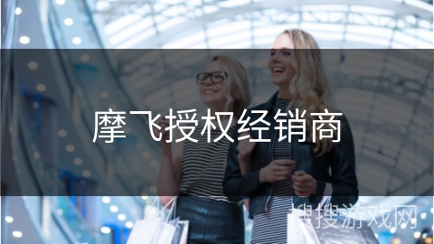摩飞授权经销商