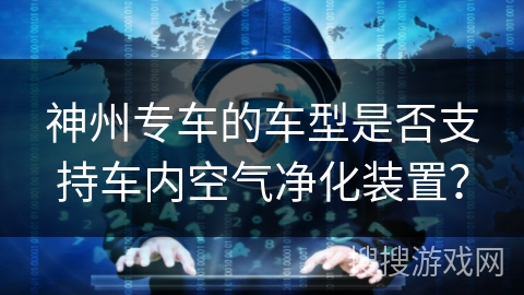 神州专车的车型是否支持车内空气净化装置？