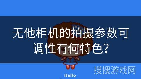 无他相机的拍摄参数可调性有何特色？