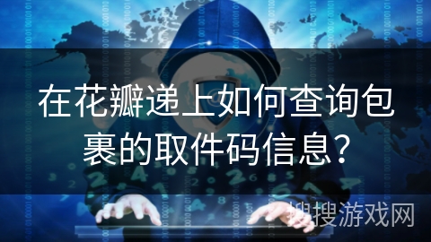 在花瓣递上如何查询包裹的取件码信息？