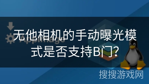 无他相机的手动曝光模式是否支持B门？