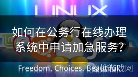 如何在公务行在线办理系统中申请加急服务？