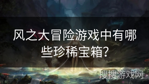 风之大冒险游戏中有哪些珍稀宝箱？