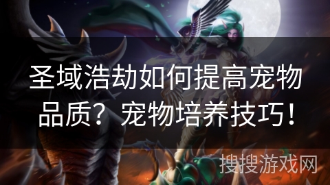 圣域浩劫如何提高宠物品质？宠物培养技巧！