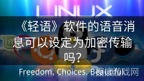 《轻语》软件的语音消息可以设定为加密传输吗？