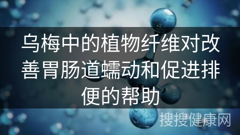 乌梅中的植物纤维对改善胃肠道蠕动和促进排便的帮助