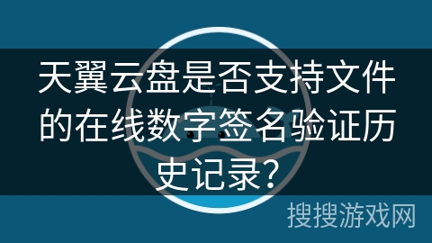 天翼云盘是否支持文件的在线数字签名验证历史记录？