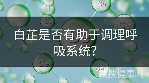 白芷是否有助于调理呼吸系统？