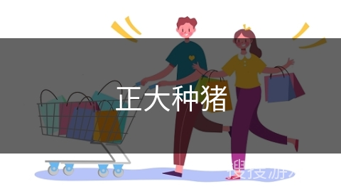 正大种猪