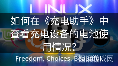 如何在《充电助手》中查看充电设备的电池使用情况？