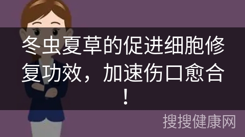 冬虫夏草的促进细胞修复功效，加速伤口愈合！