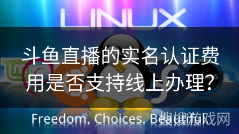 斗鱼直播的实名认证费用是否支持线上办理？