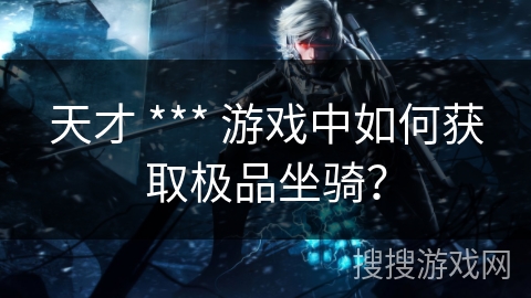 天才 *** 游戏中如何获取极品坐骑？