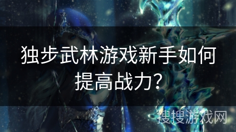 独步武林游戏新手如何提高战力？
