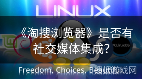 《淘搜浏览器》是否有社交媒体集成？