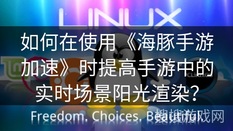 如何在使用《海豚手游加速》时提高手游中的实时场景阳光渲染？