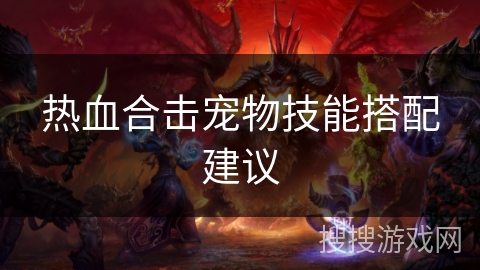 热血合击宠物技能搭配建议