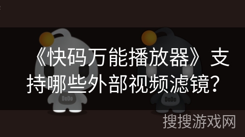 《快码万能播放器》支持哪些外部视频滤镜？