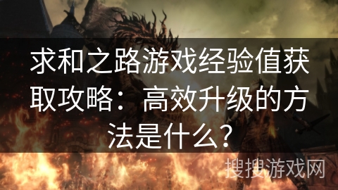 求和之路游戏经验值获取攻略：高效升级的方法是什么？