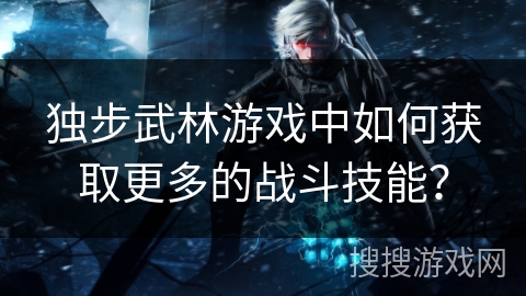 独步武林游戏中如何获取更多的战斗技能？