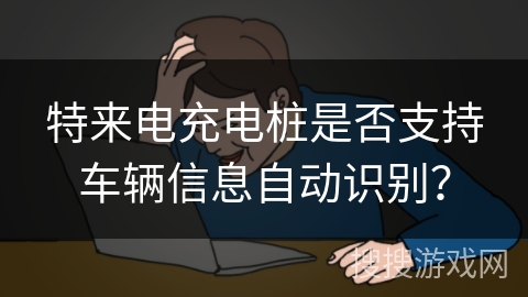 特来电充电桩是否支持车辆信息自动识别？