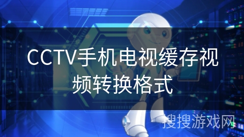 CCTV手机电视缓存视频转换格式