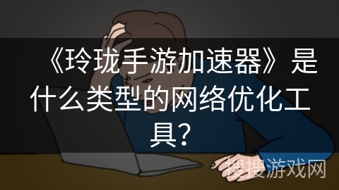 《玲珑手游加速器》是什么类型的网络优化工具？