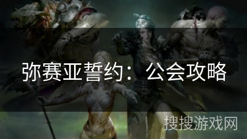 弥赛亚誓约：公会攻略