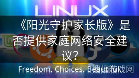 《阳光守护家长版》是否提供家庭网络安全建议？