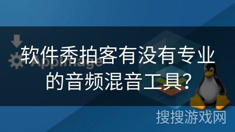 软件秀拍客有没有专业的音频混音工具？