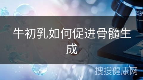 牛初乳如何促进骨髓生成