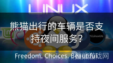 熊猫出行的车辆是否支持夜间服务？