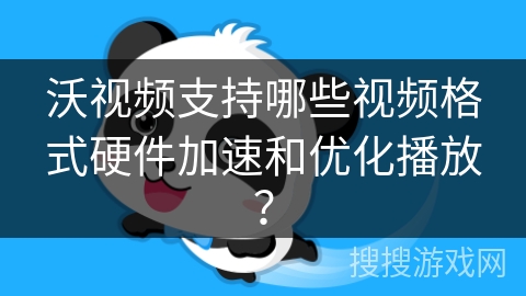 沃视频支持哪些视频格式硬件加速和优化播放？