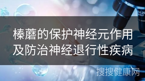 榛蘑的保护神经元作用及防治神经退行性疾病