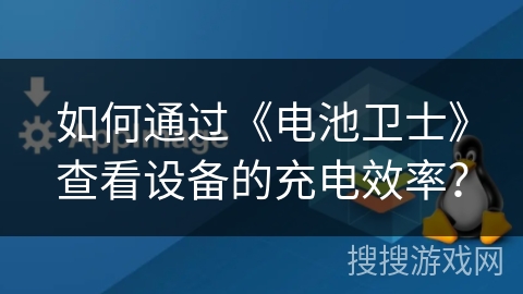 如何通过《电池卫士》查看设备的充电效率？