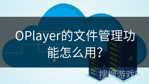 OPlayer的文件管理功能怎么用？