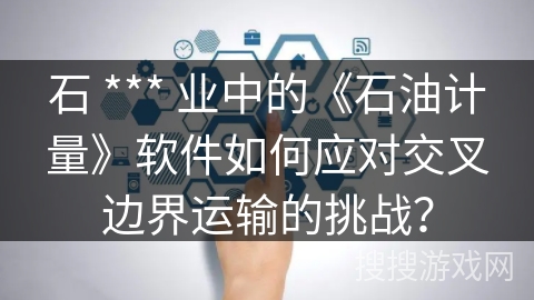 石 *** 业中的《石油计量》软件如何应对交叉边界运输的挑战？