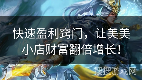 快速盈利窍门，让美美小店财富翻倍增长！