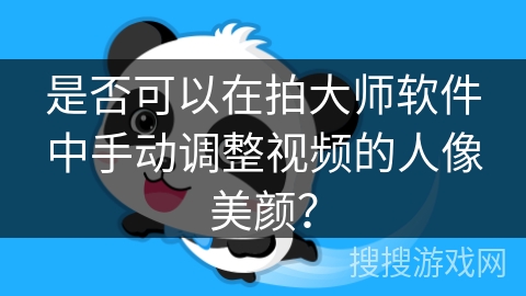 是否可以在拍大师软件中手动调整视频的人像美颜？