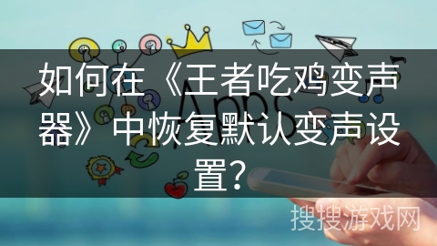 如何在《王者吃鸡变声器》中恢复默认变声设置？