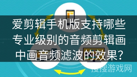 爱剪辑手机版支持哪些专业级别的音频剪辑画中画音频滤波的效果？