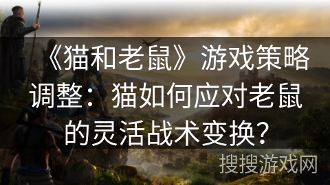 《猫和老鼠》游戏策略调整：猫如何应对老鼠的灵活战术变换？