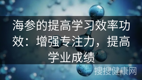 海参的提高学习效率功效：增强专注力，提高学业成绩