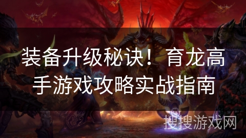 装备升级秘诀!育龙高手游戏攻略实战指南 装备升级秘诀!育龙高手游戏攻略实战指南