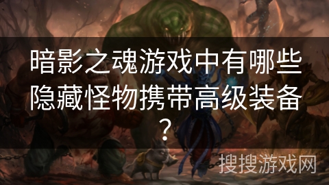 暗影之魂游戏中有哪些隐藏怪物携带高级装备？