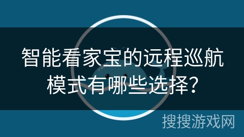 智能看家宝的远程巡航模式有哪些选择？