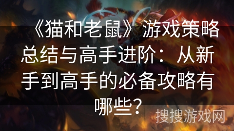 《猫和老鼠》游戏策略总结与高手进阶：从新手到高手的必备攻略有哪些？